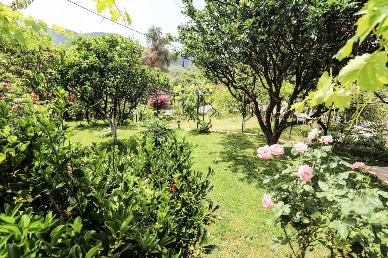 Maison d'hôtes Garden House Kastellani à Kastellanoi  Extérieur photo