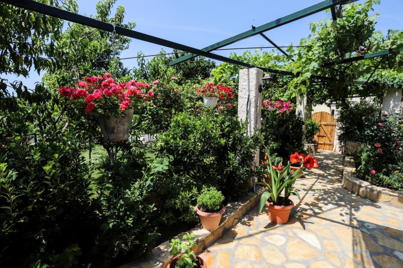 Maison d'hôtes Garden House Kastellani à Kastellanoi  Extérieur photo